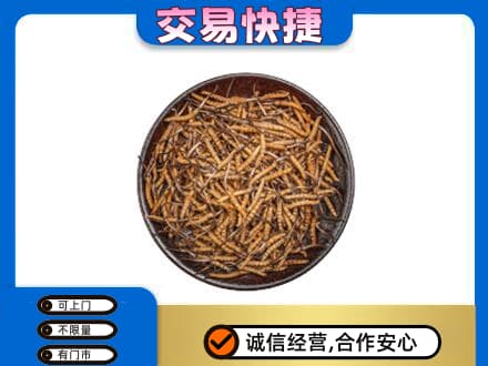 西安鄠邑区礼品回收虫草.jpg